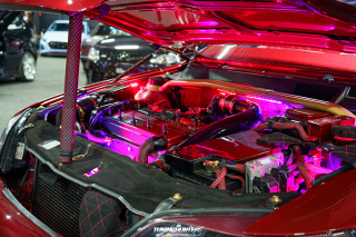 Carlove_2024_538