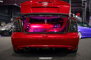 Carlove_2024_543