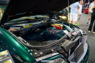 Carlove_2024_596