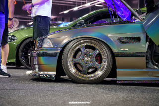 Carlove_2024_630