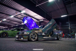 Carlove_2024_633