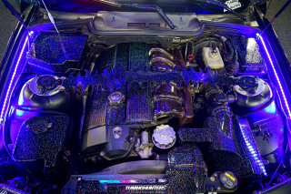 Carlove_2024_635
