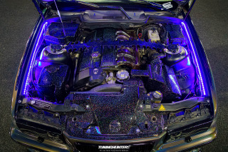 Carlove_2024_636