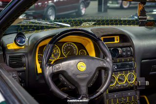 Carlove_2024_648