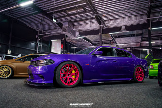 Carlove_2024_694
