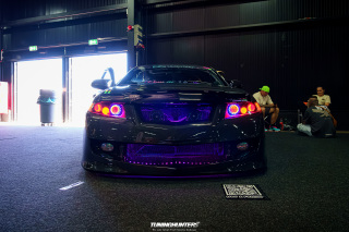 Carlove_2024_733