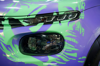 Carlove_2024_764