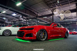 Carlove_2024_779