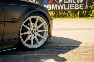 Carlove_2024_811