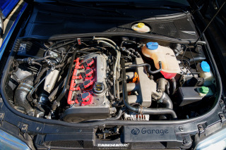 Carlove_2024_828