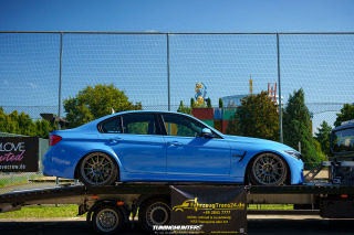 Carlove_2024_840