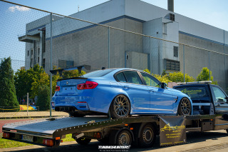 Carlove_2024_841