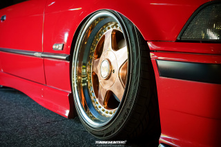 Carlove_United_2024_0201