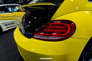 Carlove_United_2024_0327