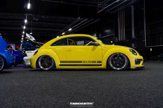 Carlove_United_2024_0328