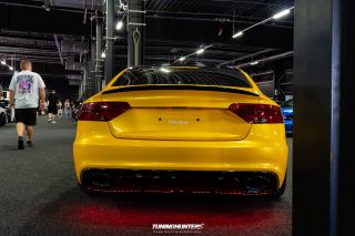 Carlove_United_2024_0773
