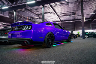 Carlove_United_2024_0835