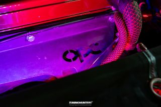 Carlove_United_2024_0978