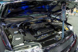 Carlove_United_2024_1041