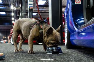 Carlove_United_2024_1063