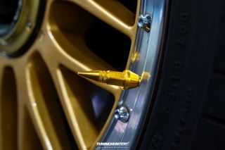 Carlove_United_2024_1135
