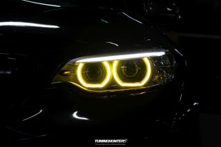 Carlove_United_2024_1140