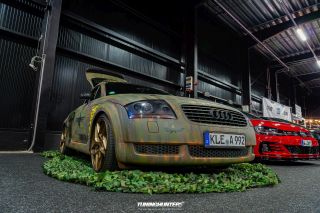 Carlove_United_2024_1398