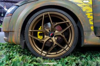 Carlove_United_2024_1404