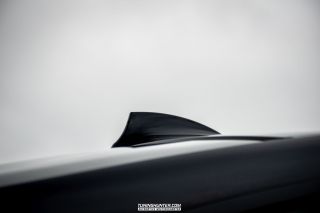 IMG3556