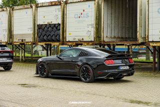 DailyDriven_-_Saison_End_2023_484