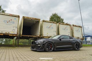 DailyDriven_-_Saison_End_2023_496