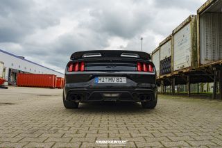 DailyDriven_-_Saison_End_2023_851