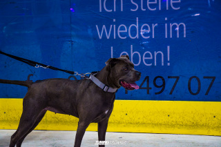 Deep_on_Ice_2025_0674