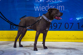 Deep_on_Ice_2025_358