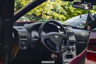 IMGP5993