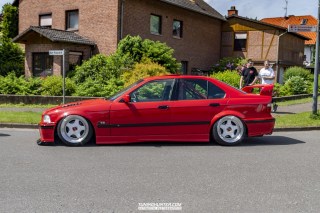 IMGP5905