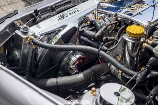 IMGP6123