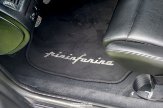 IMGP6211