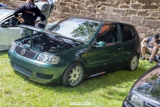 IMGP6313