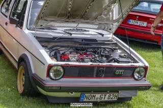 IMGP6317
