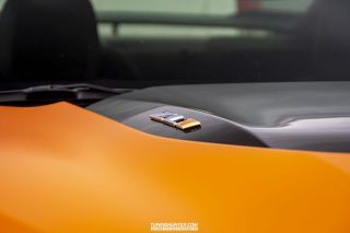 Drive_in_den_Ma_am_Werrepark-2022-007