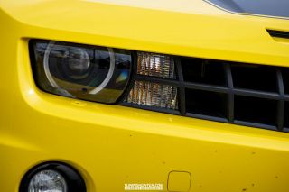 Drive_in_den_Ma_am_Werrepark-2022-039