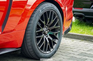 Drive_in_den_Ma_am_Werrepark-2022-161