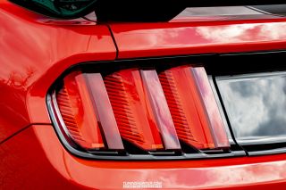 Drive_in_den_Ma_am_Werrepark-2022-169