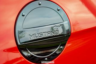 Drive_in_den_Ma_am_Werrepark-2022-170