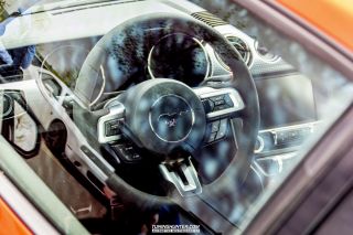 Drive_in_den_Ma_am_Werrepark-2022-171