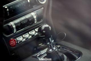 Drive_in_den_Ma_am_Werrepark-2022-172