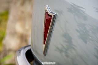 Drive_in_den_Ma_am_Werrepark-2022-226