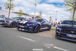 Drive_in_den_Ma_am_Werrepark-2022-233
