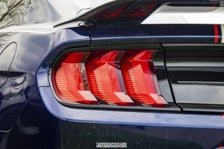 Drive_in_den_Ma_am_Werrepark-2022-246